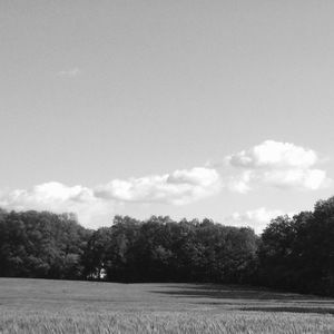 Meet your Posher, Jude